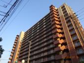 ¥½¥ë¥³¡¼¥È°¤ÇÜÌîʸ¤ÎΤ
